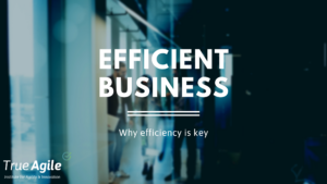 efficient-business-thumbnail